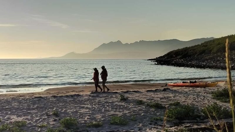 Senja: Guidet Evening Kayak Cruise - Is It Worth the Price?