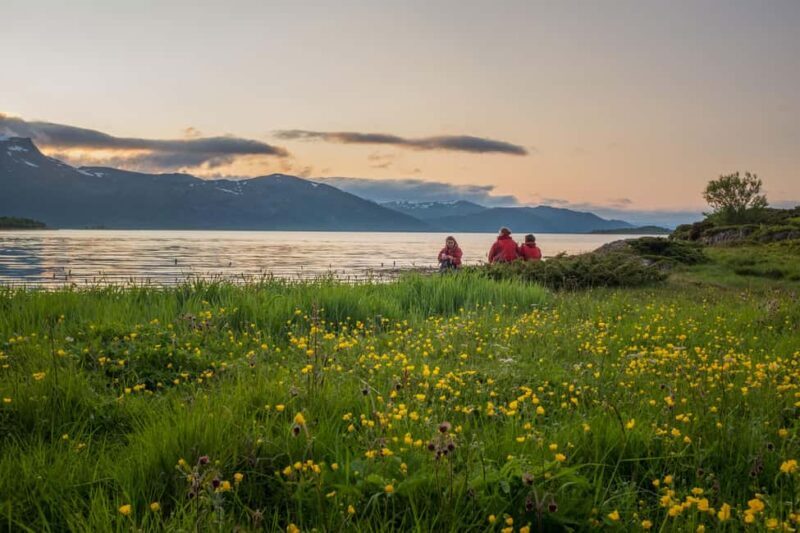 Senja: Guidet Evening Kayak Cruise - Who Will Love This Tour?