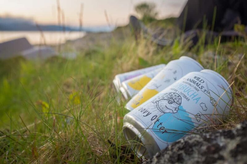 Senja: Guidet Evening Kayak Cruise - Final Thoughts