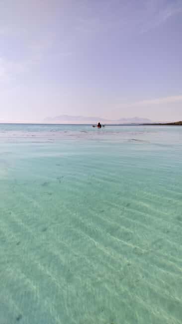 Senja: Guidet Fjord Kayaking in Ånderdalen Nationalpark - Good To Know