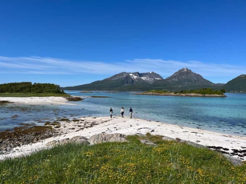 Senja: Guidet Fjord Kayaking in Ånderdalen Nationalpark - Why This Kayaking Tour Stands Out