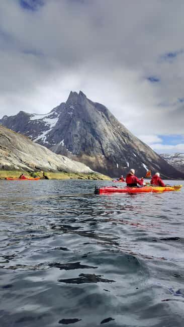 Senja: Guidet Fjord Kayaking in Ånderdalen Nationalpark - The Highlights: Why It’s Worth It