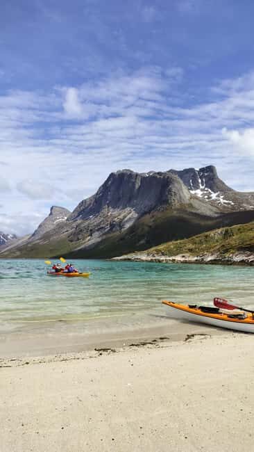 Senja: Guidet Fjord Kayaking in Ånderdalen Nationalpark - Practical Details and Considerations