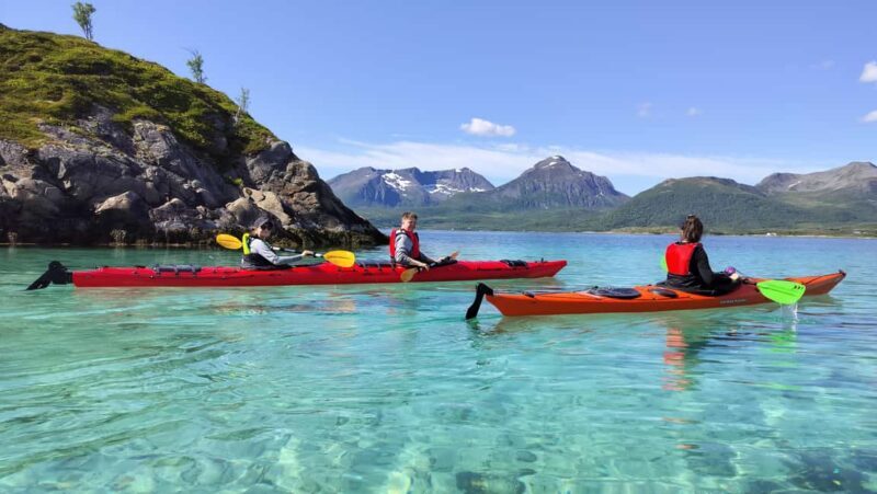Senja: Guidet Fjord Kayaking in Ånderdalen Nationalpark - Who Should Consider This Experience?