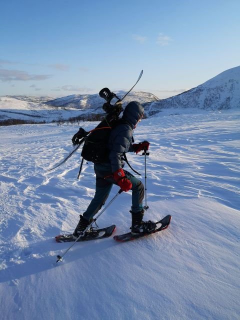 Senja Island: Winter Light and Snowshoeing - Booking Details