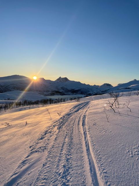 Senja Island: Winter Light and Snowshoeing - Activity Experience