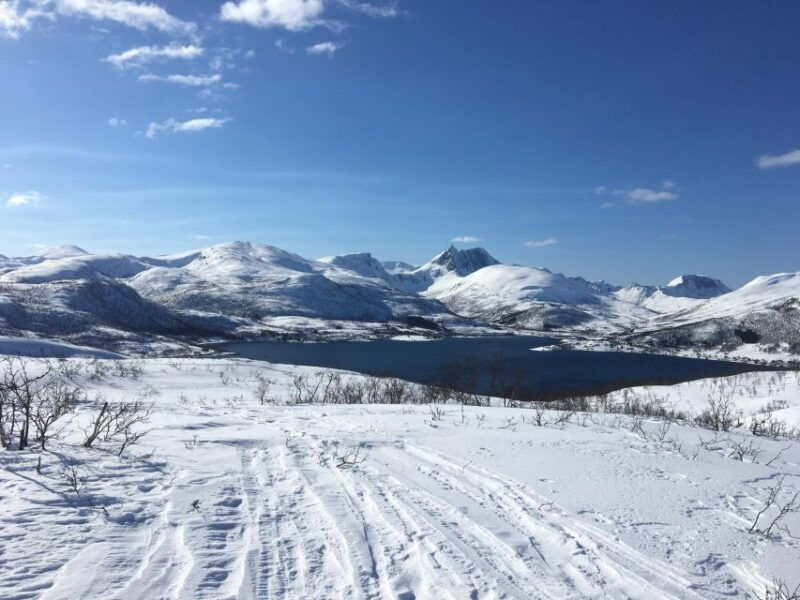 Senja Island: Winter Light Package Deal, 1 Day and 1 Night - Practical Tips for Future Travelers
