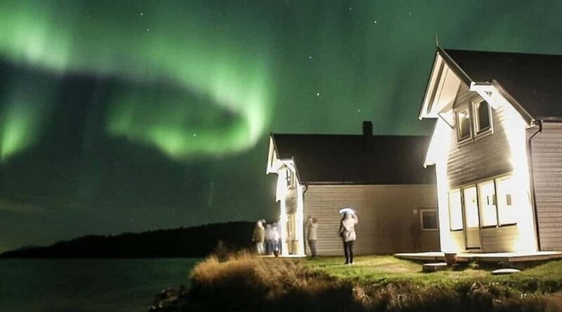 Senja: Wood-Fired Sauna Barrel - Good To Know