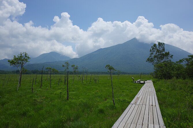 Senjogahara Nature Guide Tour in Nikko - Discover the Beauty of Nikko with the Senjogahara Nature Guide Tour