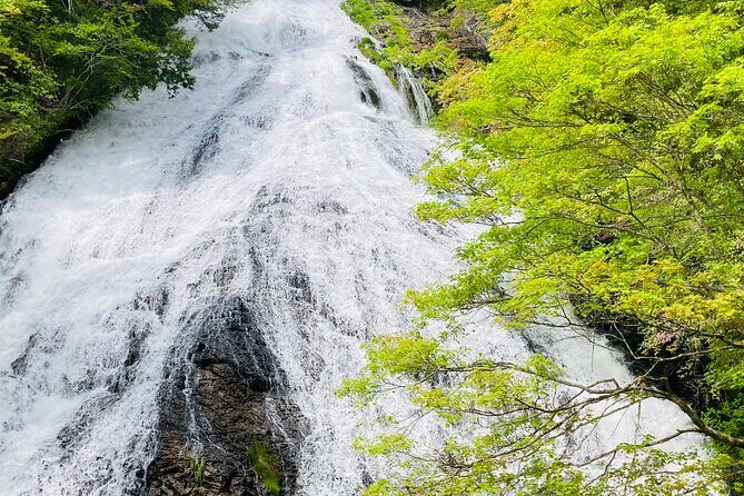 Senjogahara Nature Guide Tour in Nikko - An In-Depth Look at the Senjogahara Nature Guide Tour