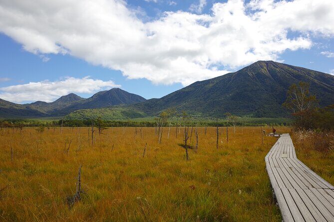 Senjogahara Nature Guide Tour in Nikko - Who Should Book This Tour?