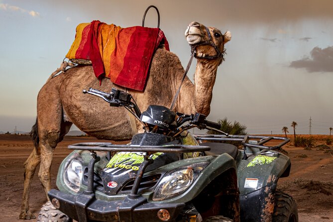 Sensational Quad and Camel Ride in the Palm Grove - Common Questions