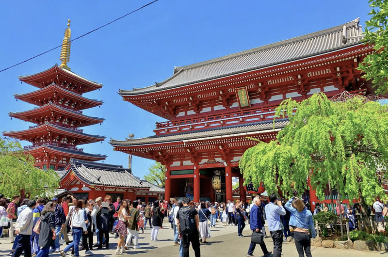 Sensoji Temple & Kappabashi Half-day Cultural & Historical Tour - Why pair Sensoji with Kappabashi?