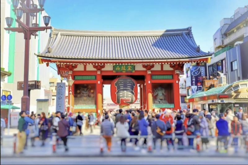 Sensoji Temple & Kappabashi Half-day Cultural & Historical Tour - Kappabashi brings a change of pace