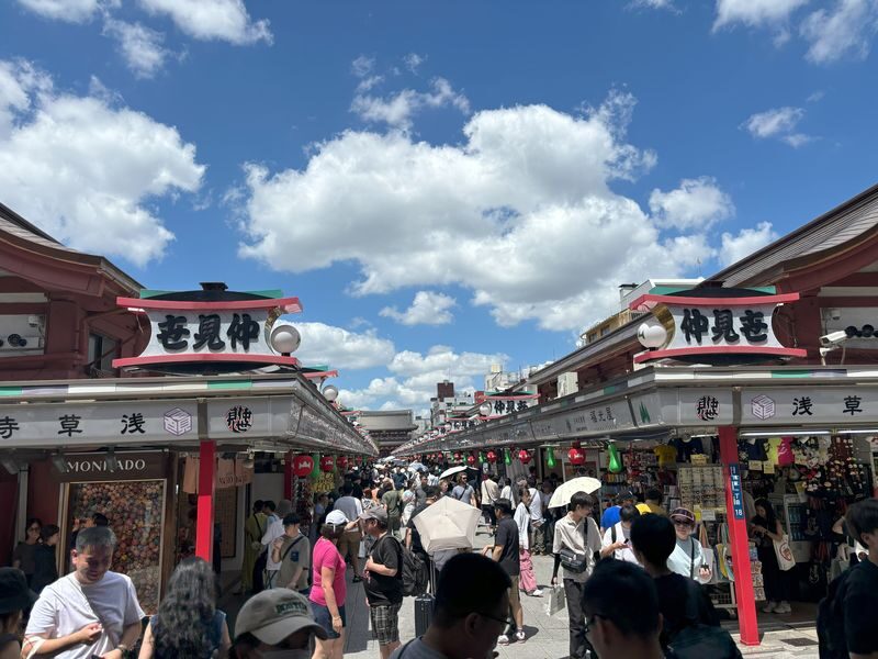 Sensoji Temple & Nakamise Shopping Street Half-day Walking & Street Food Tour - Who should choose this Asakusa tour?