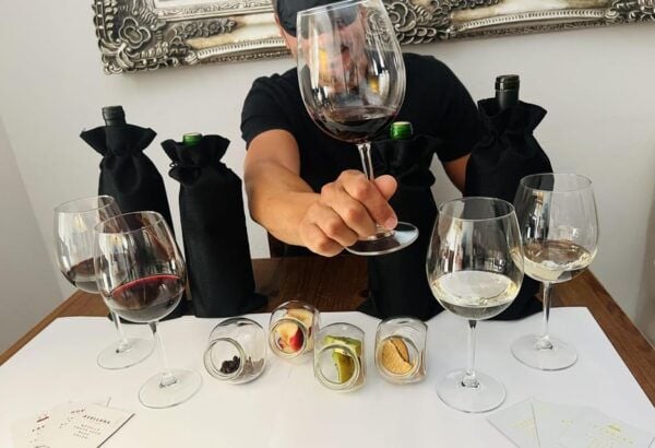 Sensory Tasting: Discover Wine With the 5 Senses - Small Group Setting