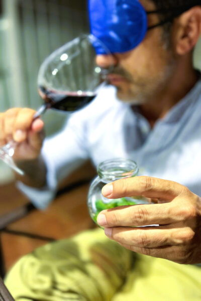 Sensory Tasting: Discover Wine With the 5 Senses - Booking and Availability
