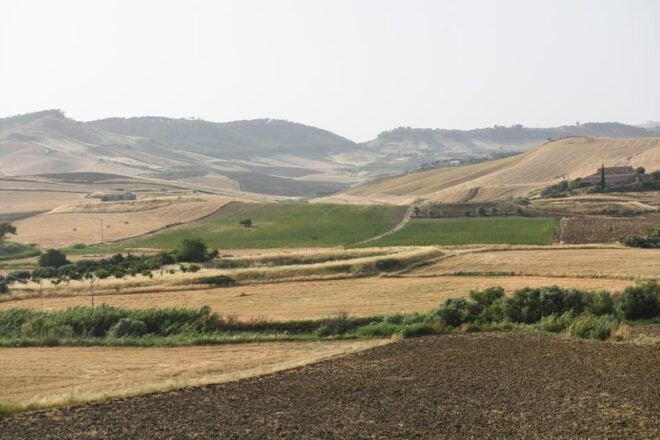 Sensory Walk With Lunch in the Caltagirone Countryside - Historical Sites Exploration
