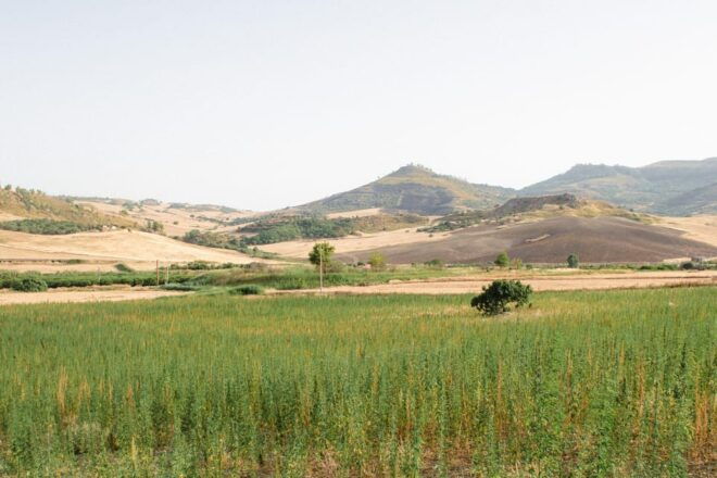 Sensory Walk With Lunch in the Caltagirone Countryside - Essential Details to Know
