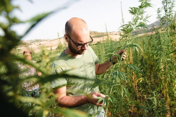 Sensory Walk With Lunch in the Caltagirone Countryside - How to Book Your Spot