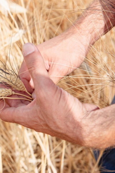 Sensory Walk With Lunch in the Caltagirone Countryside - Tips for a Great Experience