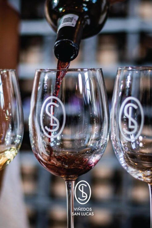 Sensory Wine Tasting Experience at Viñedos San Lucas - Good To Know