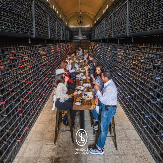 Sensory Wine Tasting Experience at Viñedos San Lucas - Tour Details