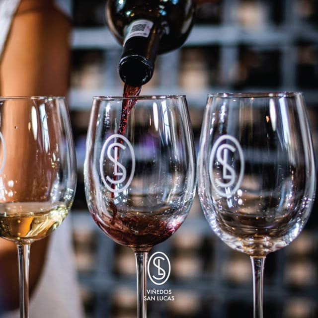 Sensory Wine Tasting Experience at Viñedos San Lucas - Tasting Experience