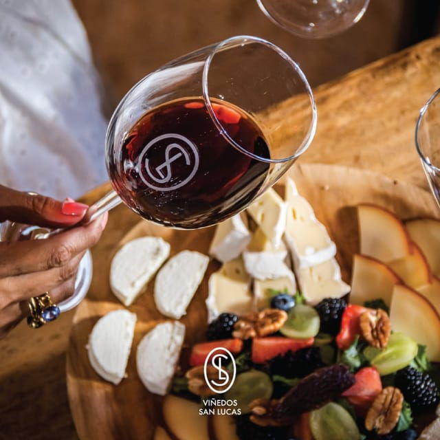 Sensory Wine Tasting Experience at Viñedos San Lucas - Wine Production Processes