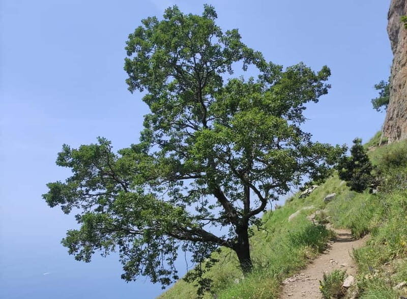 Sentiero degli Dei: Guided trekking on the Amalfi Coast - Good To Know