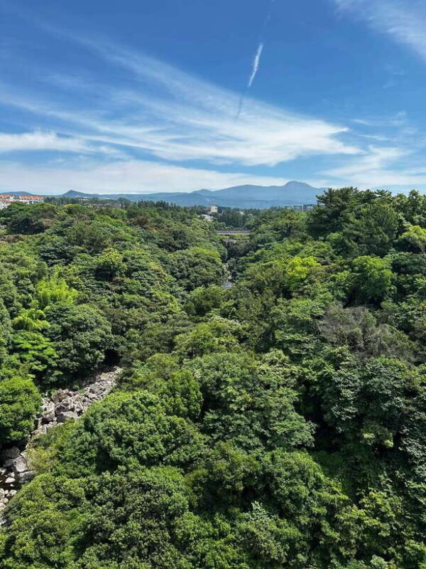 Seogwipo Jungmun Area Walking Tour - Good To Know