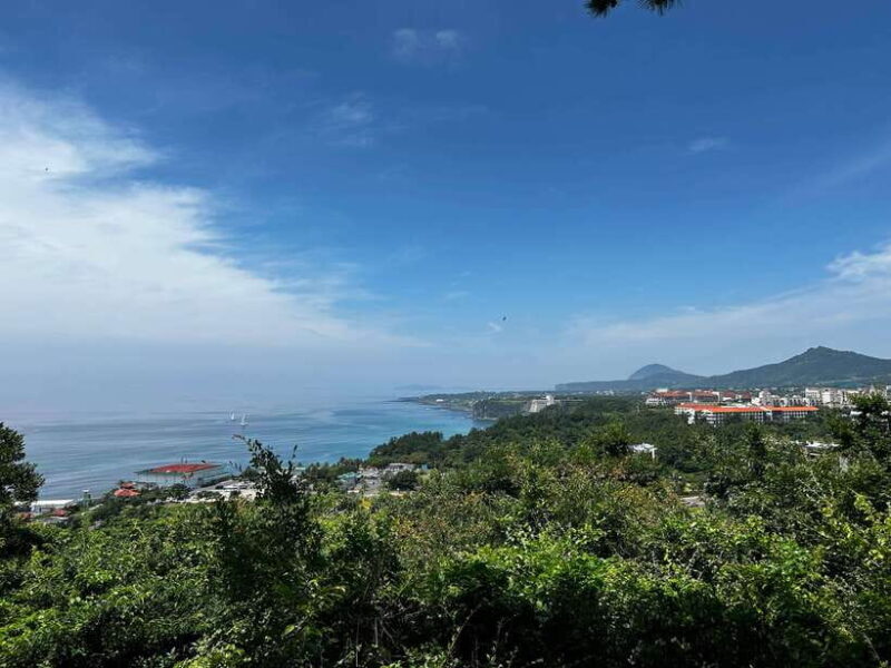 Seogwipo Jungmun Area Walking Tour - Hiking Beritnae Oreum: Volcanic Landscape at Its Best