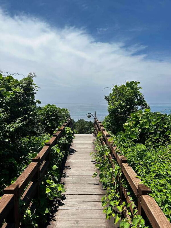 Seogwipo Jungmun Area Walking Tour - Why This Tour is a Great Choice