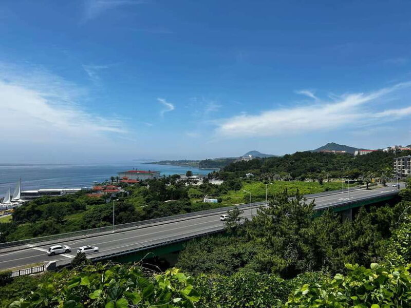 Seogwipo Jungmun Area Walking Tour - Final Thoughts