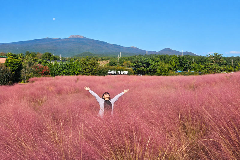 Seogwipo & Jungmun Pick-up: Jeju East UNESCO Full Day Tour - Flexible plans help when Jeju weather changes