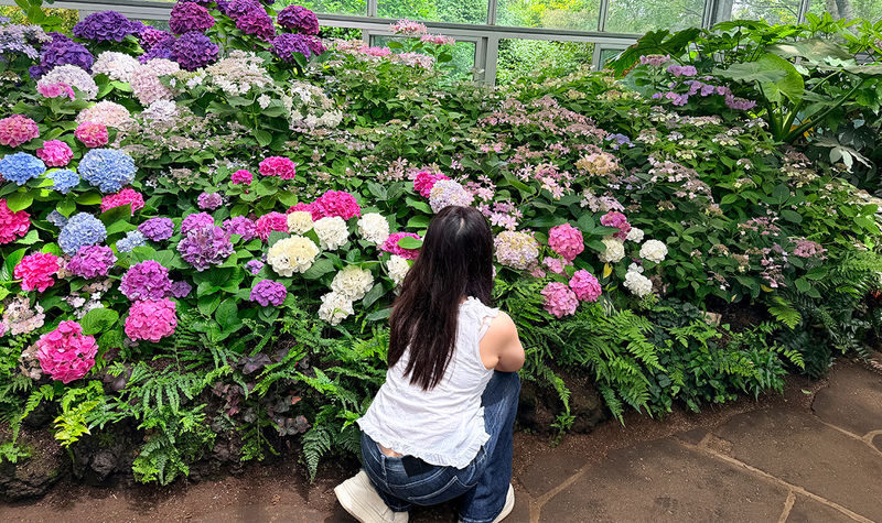 Seogwipo & Jungmun Pick-up: Jeju East UNESCO Full Day Tour - Is $122.65 good value?