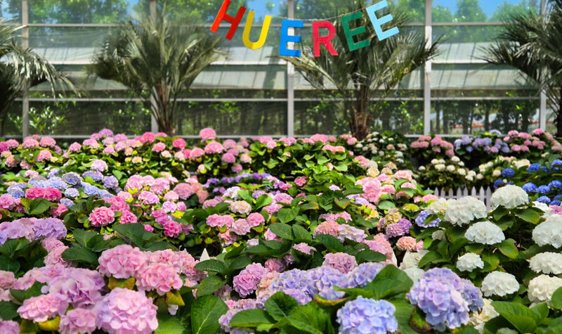 Seogwipo & Jungmun Pick-up: Jeju East UNESCO Full Day Tour - Who will get the most from this day
