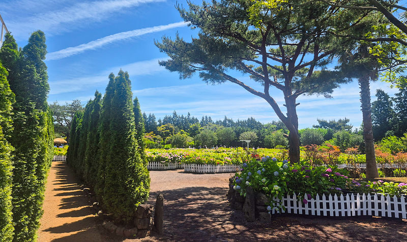 Seogwipo & Jungmun Pick-up: Jeju East UNESCO Full Day Tour - Should you book it?