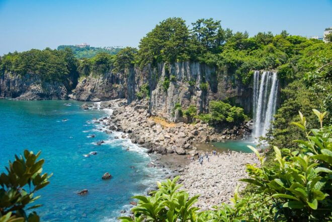 Seogwipo Natural Wonders: Craters, Caves, and Forests - Transportation and Services Offered