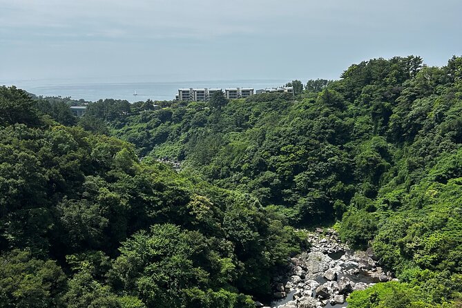 Seogwipo (The Southern City of Jeju) Jungmun Area Walking Tour - Lunch