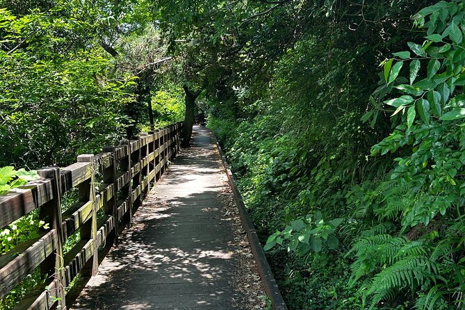 Seogwipo (The Southern City of Jeju) Jungmun Area Walking Tour - Meeting and Pickup