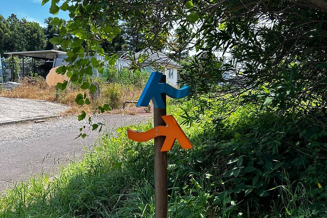 Seogwipo (The Southern City of Jeju) Jungmun Area Walking Tour - Cancellation Policy and Price