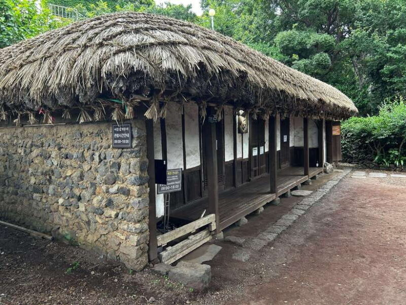 Seogwipo(the southern city of Jeju) Art Museum Walking Tour - The Guide and Group Experience