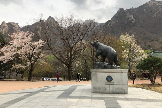 Seoraksan and Cherry Blossom Lake 1 day trip from Seoul - An In-Depth Look at the Experience