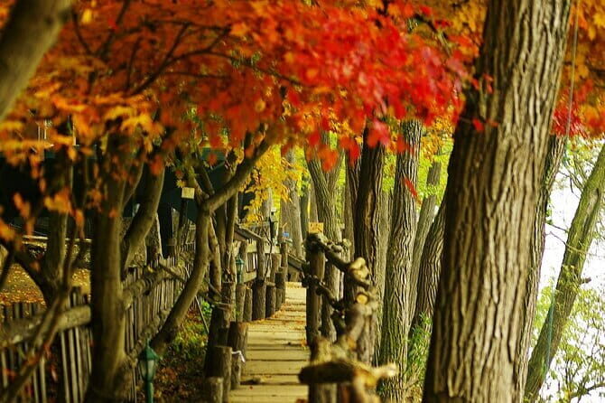 Seoraksan and Cherry Blossom Lake 1 day trip from Seoul - The Value of the Experience