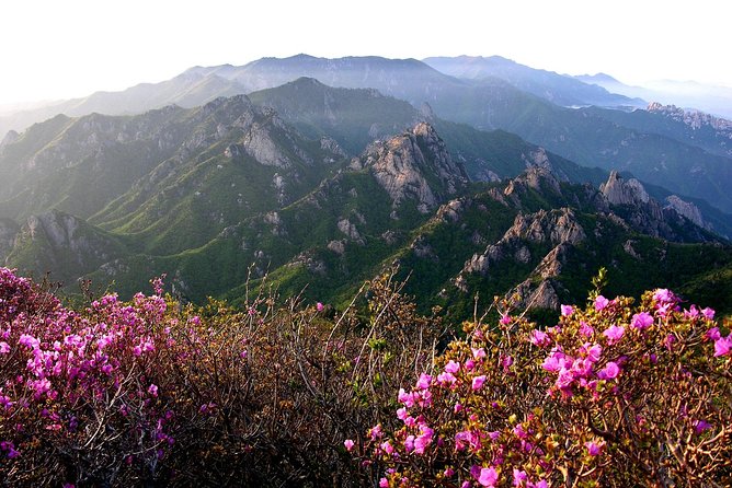 Seoraksan Daecheongbong(1,708m) Peak Hiking [1-Day Tour From Seoul] - Cancellation Policy
