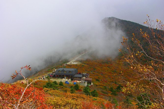 Seoraksan Daecheongbong(1,708m) Peak Hiking [1-Day Tour From Seoul] - Tour Inclusions