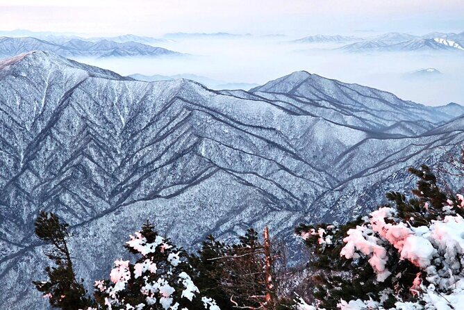 Seoraksan, Eobi Ice Valley & Nami Island Winter Tour from Seoul - Good To Know