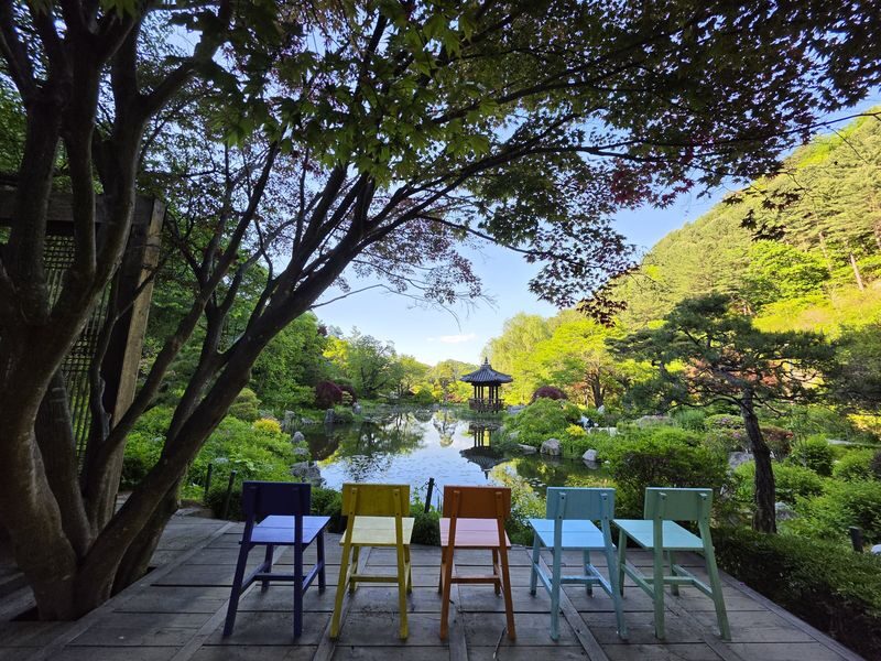 Seoraksan National Park & Naksansa Temple Sightseeing Tour - Guides, group pace and the value of a set plan