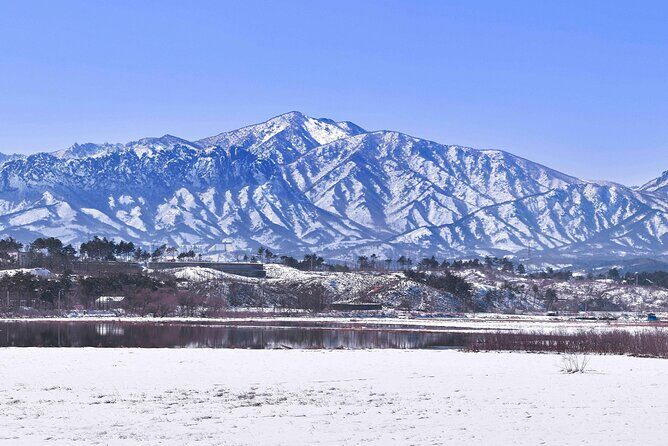 Seoraksan National Park & Nami Island - The Itinerary Breakdown: What to Expect